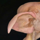 OOAK Dobby-L'elfo domestico